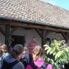 bga-12-ha-01-0826-szekelykeve-tajhaz-helyi szokasok-36